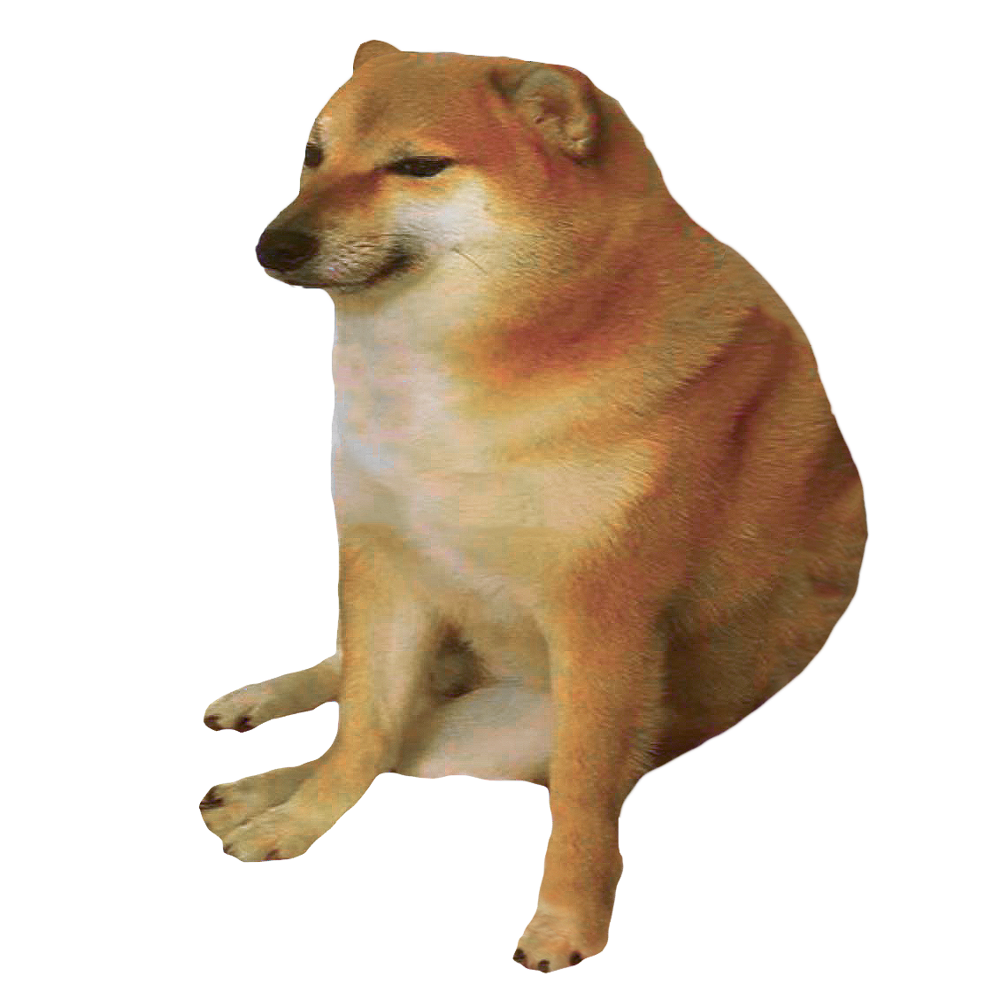 cheems.jpg