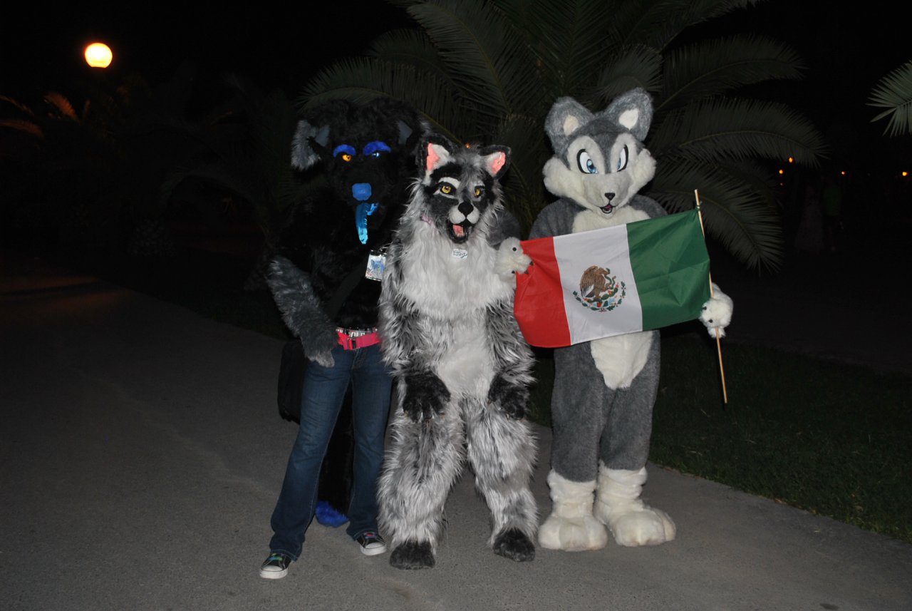 furros mexicanos.jpeg